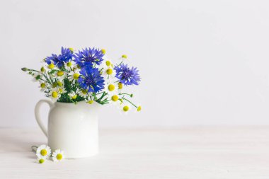 Beyaz arka planda bir kavanozda çayır çiçeklerinin romantik yaz buketi.  
