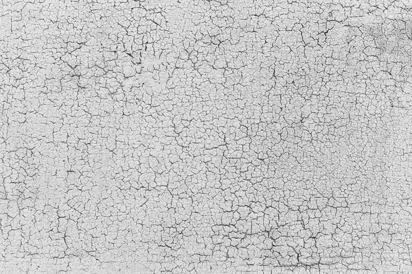 Сірий Сільський Текстурний Фон Крейдою Монохромний Чорно Білий — стокове фото