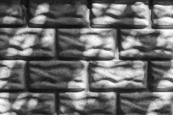 Grey wall on a sunny day. Abstract decorative grey background or art texture.  Copy space. Monochrome, black and white.