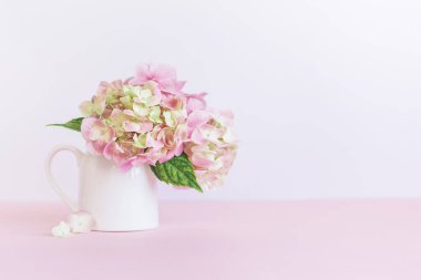 Pembe arka planda bir kavanozda pembe ortanca çiçeği buketi. Metin için yer.