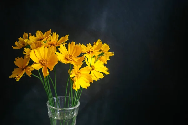Piękne Żółte Kwiaty Słońcu Mroczne Tło Wybiórcze Skupienie Miejsce Tekst — Zdjęcie stockowe