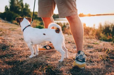 Gün batımından önce göl kenarındaki çayırda elinde köpek yavrusu olan adam Jack Russell Terrier. Güzel güneşli bir gün.