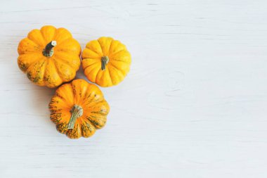 Beyaz ahşap arka planda olgun turuncu balkabakları. Şükran Günü kartı ya da özgeçmişi için minimalist bir kavram. Mesaj için yer. Düz yatıyordu.