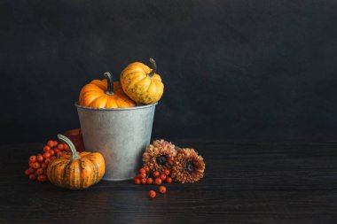 Balkabakları, yabanmersinleri ve çiçeklerle sonbahar arkaplanı. Koyu kırsal ahşap arka plan. Metin için yer.