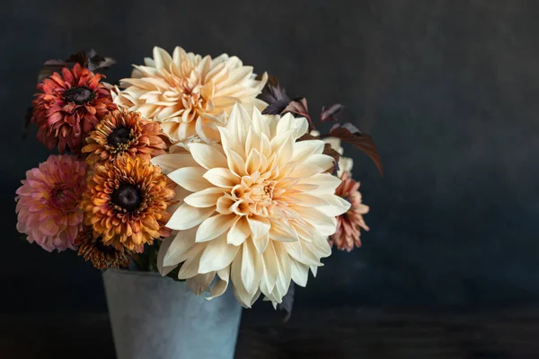Koyu Kırsal Arka Planda Yıldız Çiçeği Olan Güzel Bir Sonbahar — Stok fotoğraf