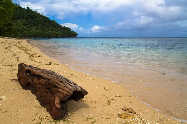 Prachtige Ongerepte Strand Het Paradijs — Stockfoto