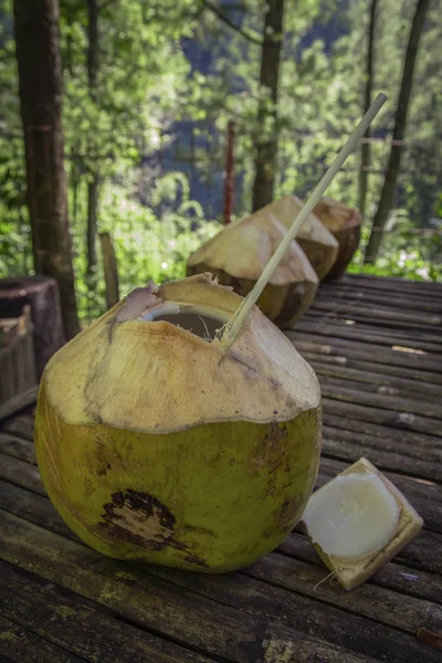 Кокосовая Вода Жаждущего Посетителя — стоковое фото