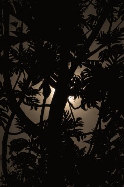 Bir ağaç siluet ve ayrıntılı bir sepya renkli resmi olarak