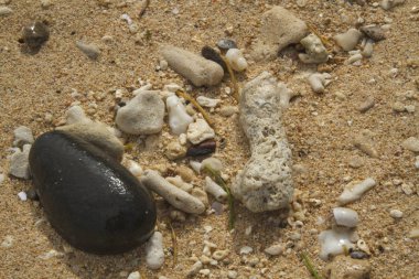 Sahilde kırık mercan