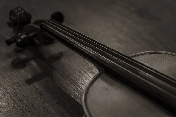 Die Geige Einem Sepiafarbenbild — Stockfoto