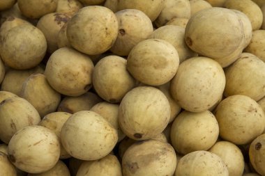 Tropikal meyve, duku veya Langsat, lansium domesticum corr 