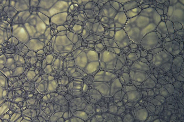 Макроснимки Мыльных Пузырей — стоковое фото