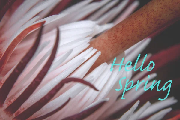 Açıklama merhaba Bahar ile Çiçek