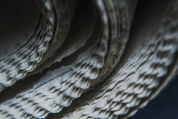 Makro Katlanmış Bir Gazetenin Yakın Plan Fotoğrafını Çekiyor — Stok fotoğraf