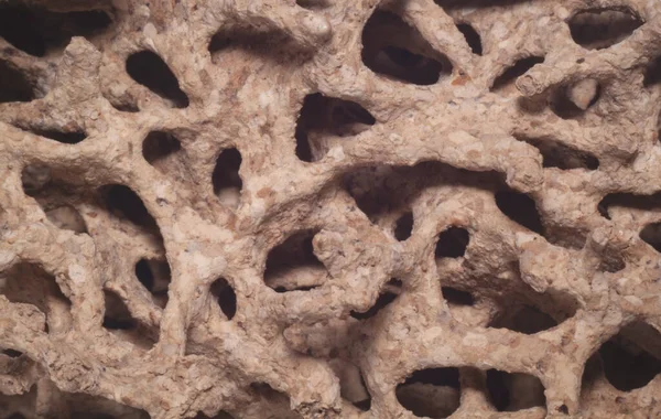 Makro Otvory Tunely Uvnitř Poškozeného Dřeva Vytvořené Termity — Stock fotografie