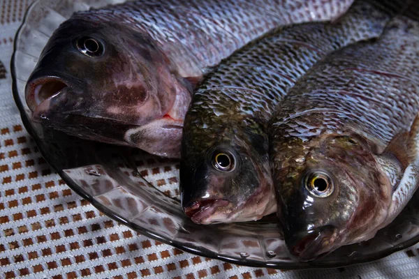 Nile Tilapia Fish Oreochromis Niloticus Plaat — Stockfoto