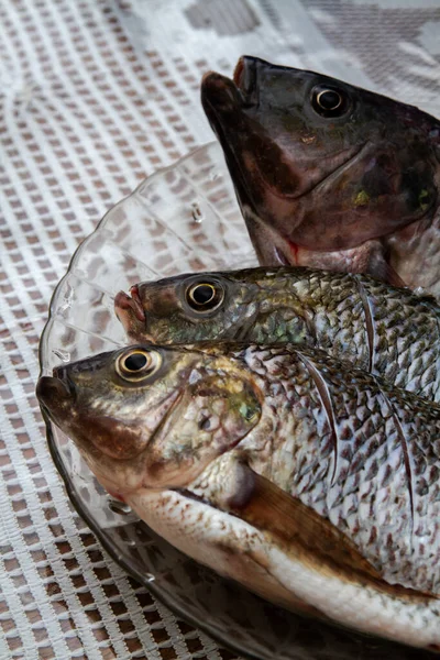 Nile Tilapia Fish Oreochromis Niloticus Plate — стоковое фото