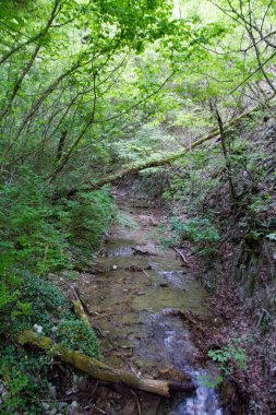 Denizde günbatımında yola çıkmak.