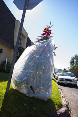 Çöpe atılmış Noel ağacı 