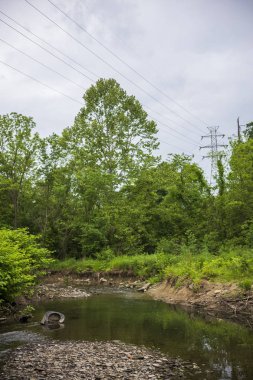 South Park, Pennsylvania'da bir derede bırakılan çöpler.