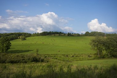 Pine City, New York yakınlarındaki saman balyaları ile tepelik bir çayır