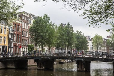 Amsterdam'da bisiklet kullanımı son 2 yılda %40'tan fazla arttı
