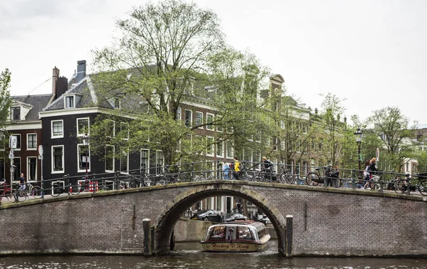 Cykel användning i Amsterdam har vuxit med mer än 40% under de senaste 2 — Stockfoto