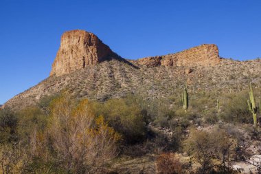 Kuru, Arizona çöl bulutsuz bir günde güneybatı Amerika Birleşik Devletleri'nde bulunan. 