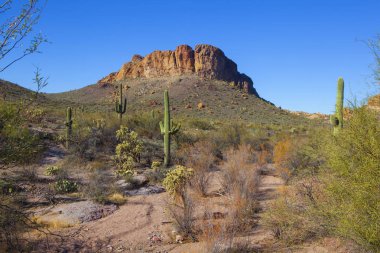 Kuru, Arizona çöl bulutsuz bir günde güneybatı Amerika Birleşik Devletleri'nde bulunan. 