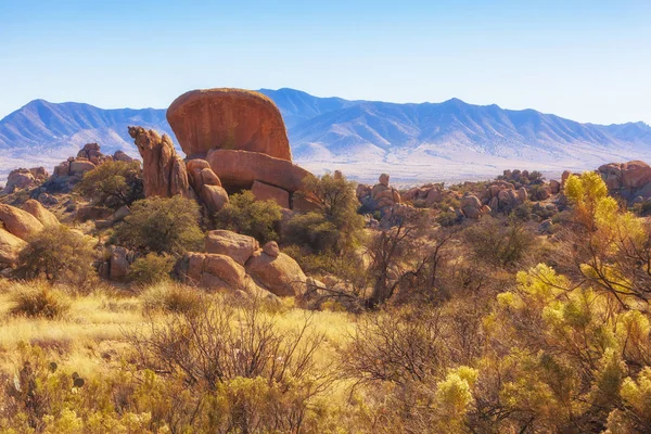 Desert landscape, Arizona. — Stock Photo, Image