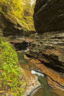 Watkins Glen State Park, Watkins Glen bulunan, New York Eyaleti Finger Lakes Bölgesi, yaprakları yeşil sarı ve kırmızı değiştirmek gibi sonbahar sezonunda popüler bir seyahat yerdir.