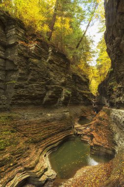 Watkins Glen State Park, Watkins Glen bulunan, New York Eyaleti Finger Lakes Bölgesi, yaprakları yeşil sarı ve kırmızı değiştirmek gibi sonbahar sezonunda popüler bir seyahat yerdir.