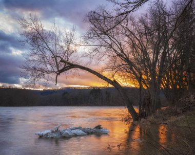 Bir buz kayması New York Eyaleti'nde Susquehanna Nehri üzerinde yüzer