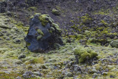 Bulutlu bir gökyüzü ve İzlanda, Vik yakınlarında yosunlarla kaplı antik lav tarlası, turistlerin çok seyahat ettiği ünlü Çevre Yolu 'ndan görülüyor..