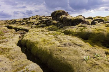 Bulutlu bir gökyüzü ve yosunlarla kaplı eski lav tarlası.