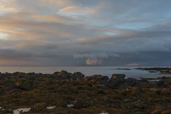 Costa rochosa perto de Reykjavik, Islândia ao pôr-do-sol — Fotografia de Stock