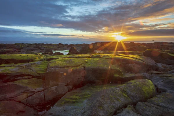Costa rochosa perto de Reykjavik, Islândia ao pôr-do-sol — Fotografia de Stock