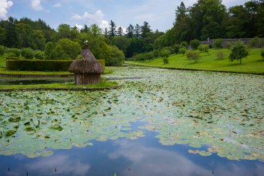 Perthshire, İskoçya / İngiltere - 25 Haziran 2019: Bulutlu bir günde, Blair Kalesi 'nin bahçelerindeki sulu zambaklarla dolu bir gölette bir kuş dinleniyor. 