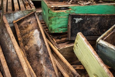 Ormanlık bir alanda bulunan, tahtadan yapılmış, atılmış bir arı kovanının detaylarını gösteren yakın plan bir görüntü.. 