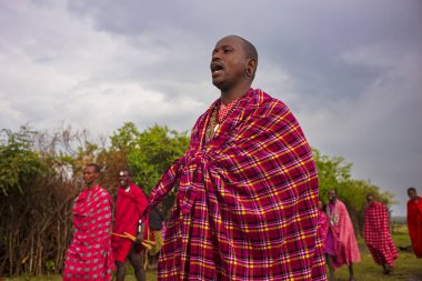 Masai Mara Ulusal Rezervi, Kenya - 20 Haziran 2025: Masai atlama dansı, Kenya ve Tanzanya 'da genç Masai savaşçıları tarafından gerçekleştirilen geleneksel bir tören olan Adumu veya Adamu olarak adlandırılır..