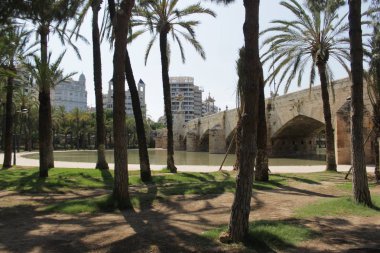 Eski nehir Valencia park