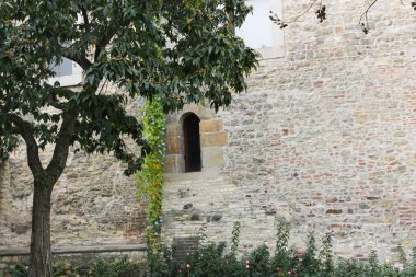 Prag Kalesi'ne ağaç ile eski duvarda şaşırtıcı görünümü