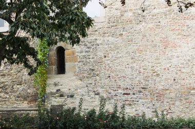 Prag Kalesi'ne ağaç ile eski duvarda şaşırtıcı görünümü