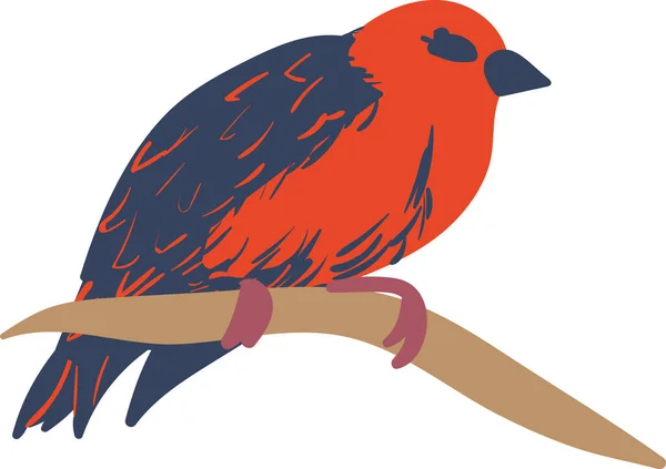 Illustration vectorielle oiseau fody rouge — Image vectorielle