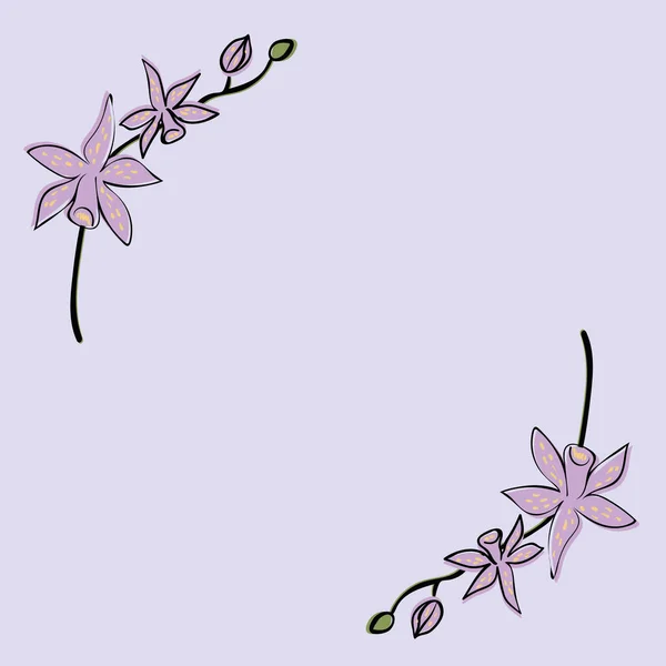 Orquídea flores simple vector ilustración — Vector de stock