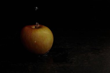 Yüksek çözünürlüklü, siyah arka plan, Caravaggio tarzı su damlaları ile Elma