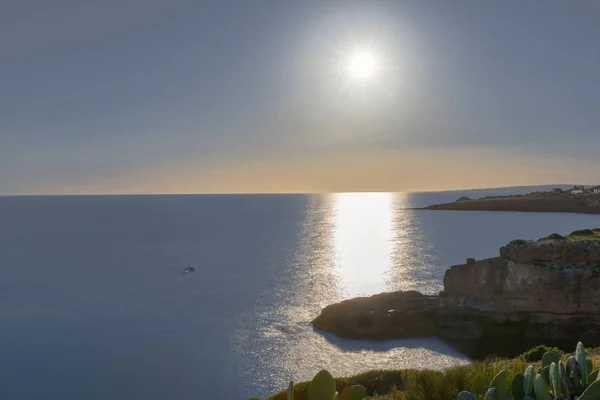 Santa Maria di Leuca İtalya denizinde yunus