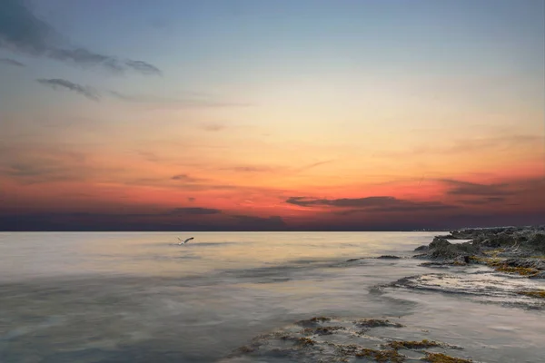 Martılar ve gün batımı ile Akdeniz denizi