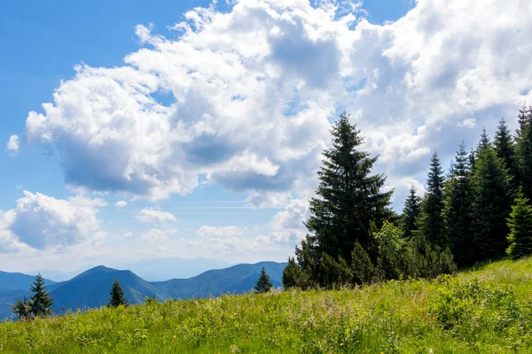Dağ sırası ile yeşil dağ çayırı, Kuzey Slovakya