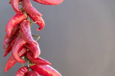 Kuru kırmızı biber gri bir arka plan üzerinde izole, Sırbistan